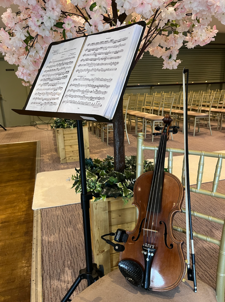 Modern Love Songs That Feel Magical on Violin